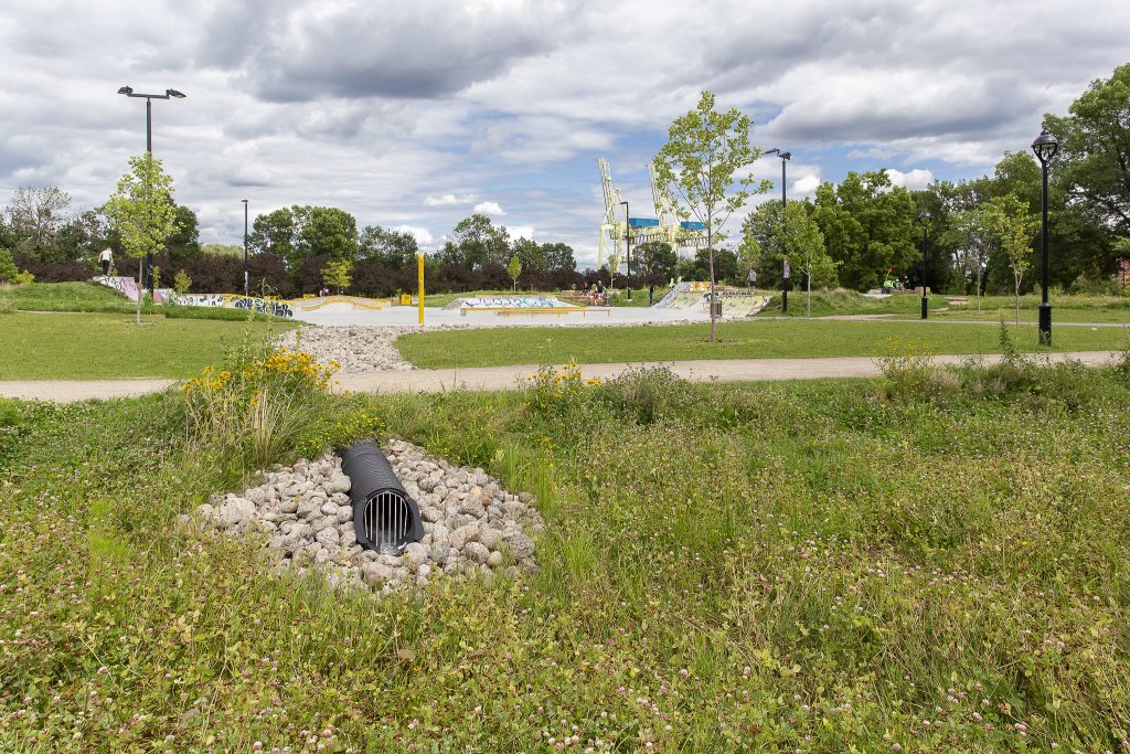 Le planchodrome du parc Honoré-Mercier